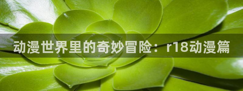 omofun国漫排行榜：动漫世界里的奇妙冒险：r18动漫篇配图