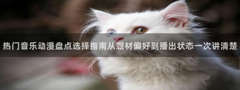 omofun热血动漫:热门音乐动漫盘点选择指南从题材偏好到播出状态一次讲清楚配图