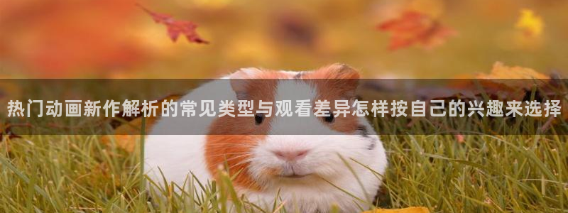 omofun动漫热门排行：热门动画新作解析的常见类型与观看差异怎样按自己的兴趣来选择配图