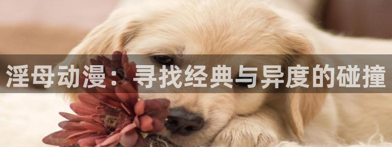 omofun动漫完整版免费观看：淫母动漫：寻找经典与异度的碰撞配图