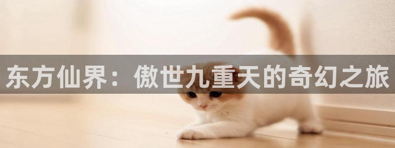 omofun动漫全集:东方仙界:傲世九重天的奇幻之旅配图