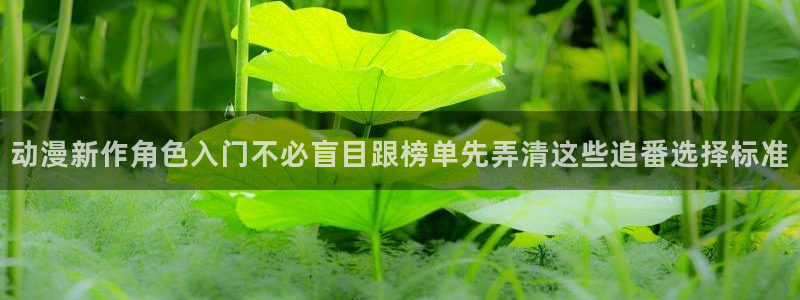 omofun动漫全集：动漫新作角色入门不必盲目跟榜单先弄清这些追番选择标准配图