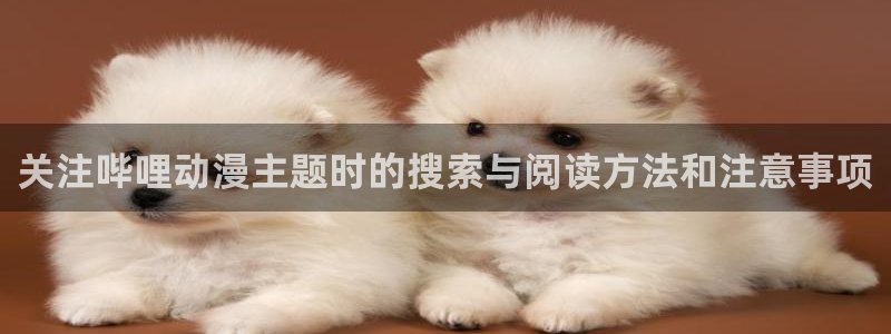 omofun高分动漫推荐：关注哔哩动漫主题时的搜索与阅读方法和注意事项配图