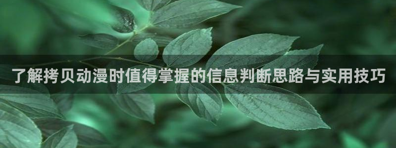 omofun动漫人气排行榜：了解拷贝动漫时值得掌握的信息判断思路与实用技巧配图