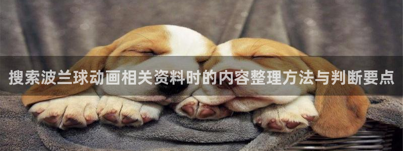omofun动漫官网热门动漫：搜索波兰球动画相关资料时的内容整理方法与判断要点配图