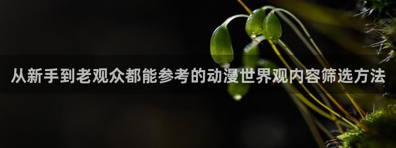 omofun动漫推荐排行：从新手到老观众都能参考的动漫世界观内容筛选方法配图