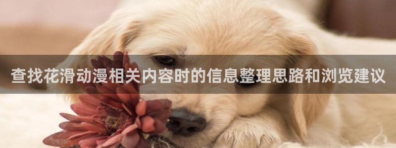 omofun动漫更新最快:查找花滑动漫相关内容时的信息整理思路和浏览建议配图