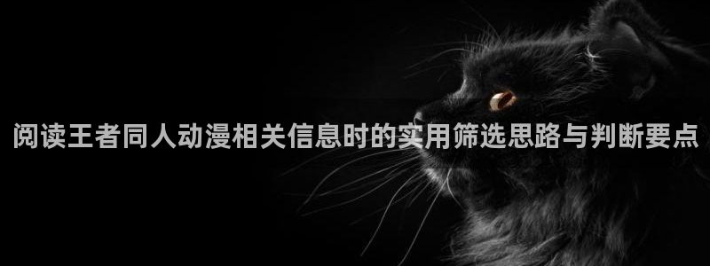 omofun动漫新番:阅读王者同人动漫相关信息时的实用筛选思路与判断要点配图