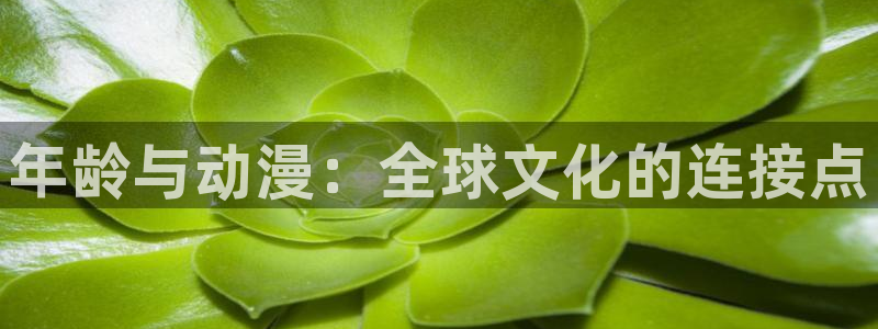 omofun免费动漫在线观看:年龄与动漫:全球文化的连接点配图